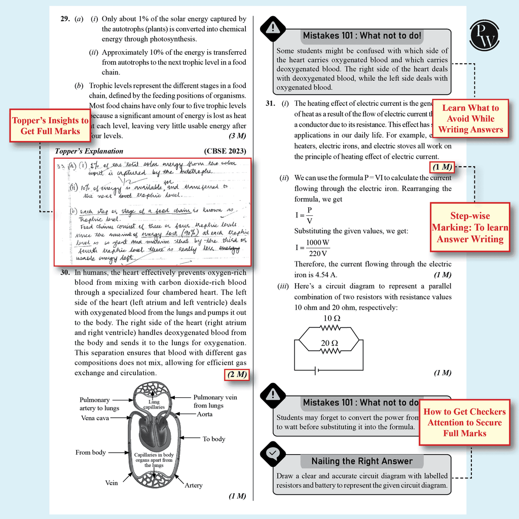 CBSE 15 New Pattern Sample Question Papers Class 10 Science For 2025 Board Exam with 50 Percent Competency Based Questions 100 Most Probable Questions