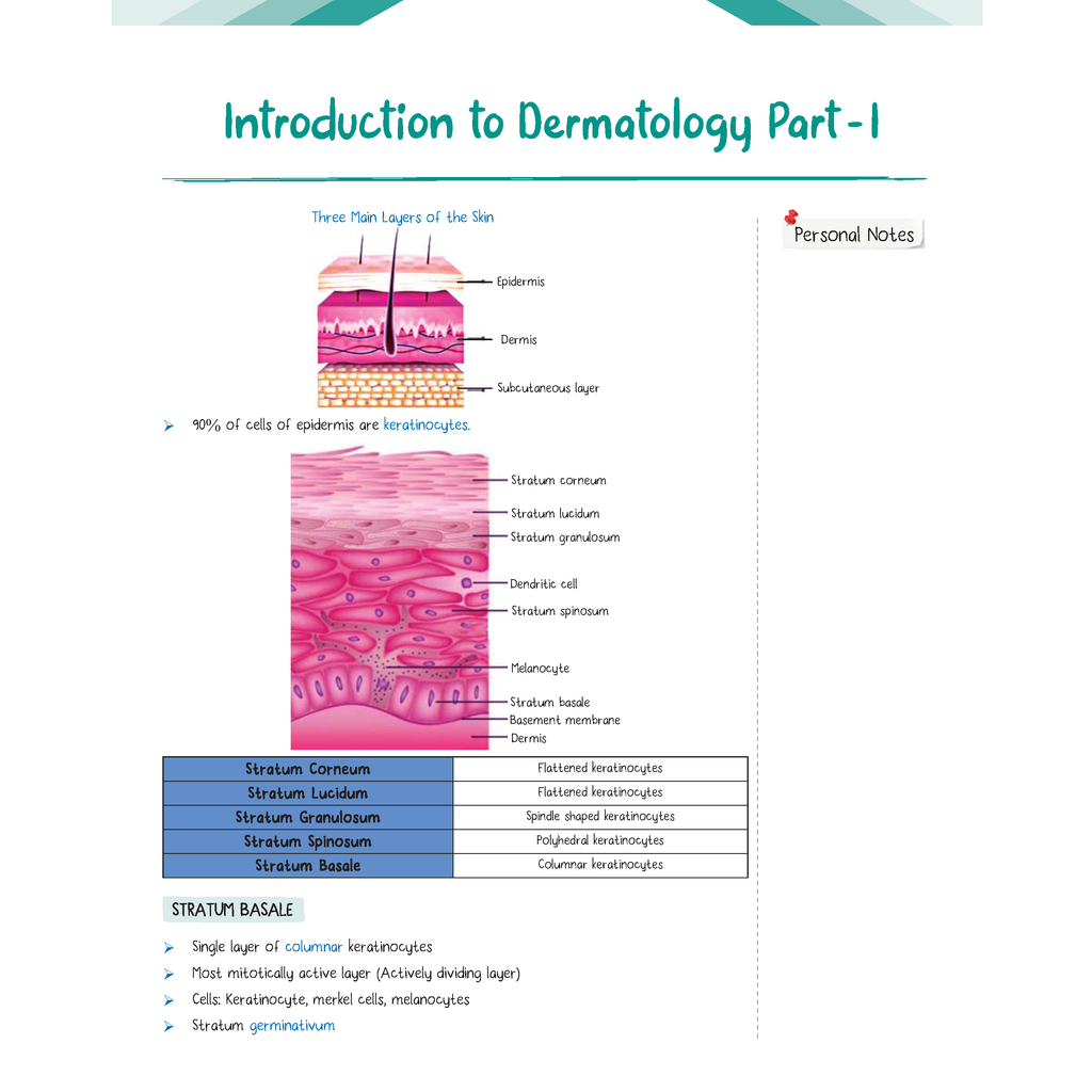 Academy Grade 11 Laboratory Manual Biology, Physics and Chemistry Combo Set of 3 Books As Per The National Education Policy 2020 | Experiments, Discussion Questions, Viva Voce