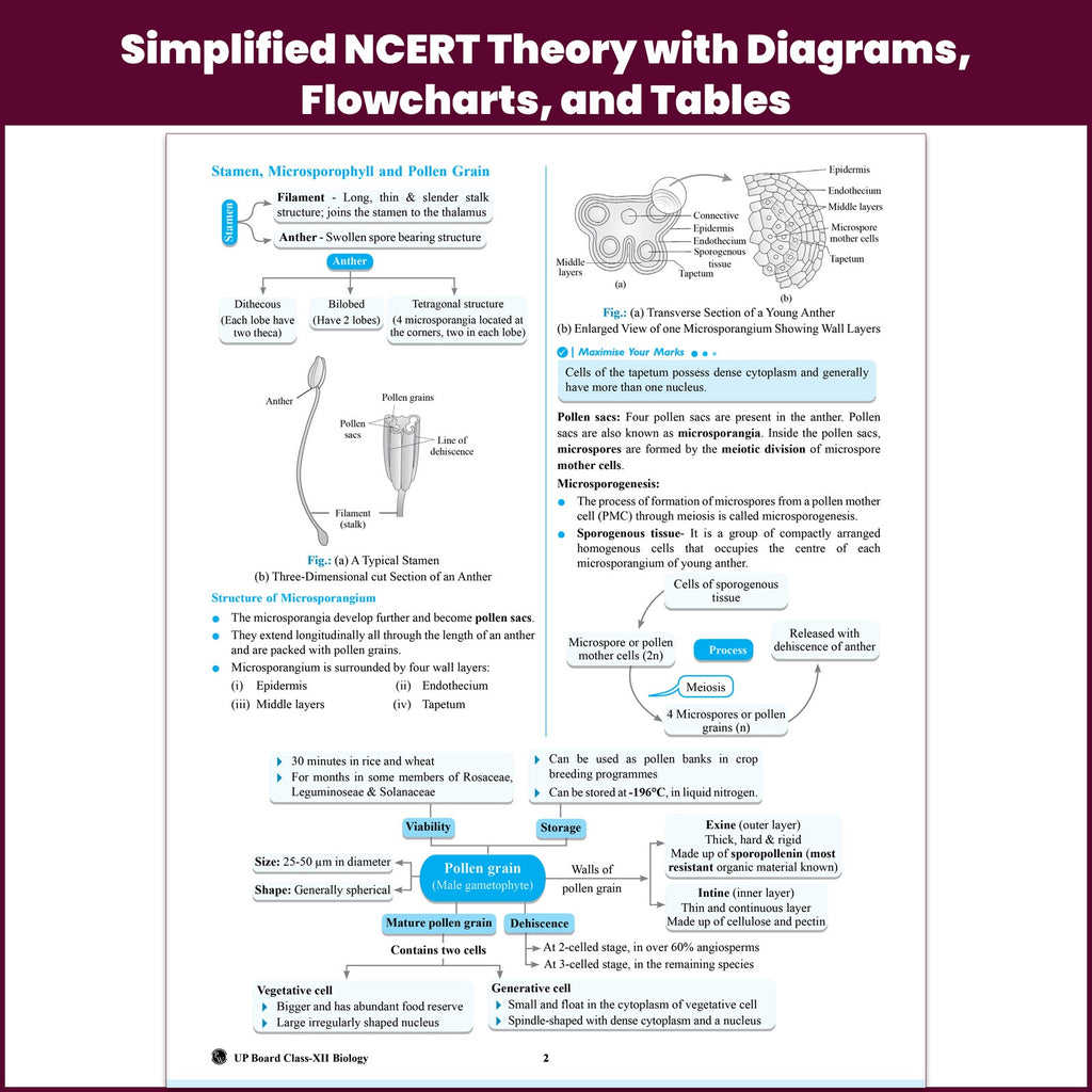 UP Board Class 12 Question Bank Biology Guru Mantra By Yogesh Sir For 2026-27 Exam | NEP 2020 | Chapter-wise Mind Maps with Previous Year Questions, NCERT Exemplar & Model Papers