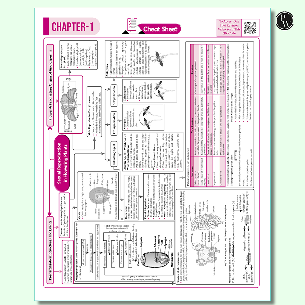 CBSE 12 Sample Question Papers Class 12 Physics, Chemistry, Biology & English Core Combo Set of 4 Books For 2026 Board Exam (As Per Latest SQP Dated 30 July 2025)