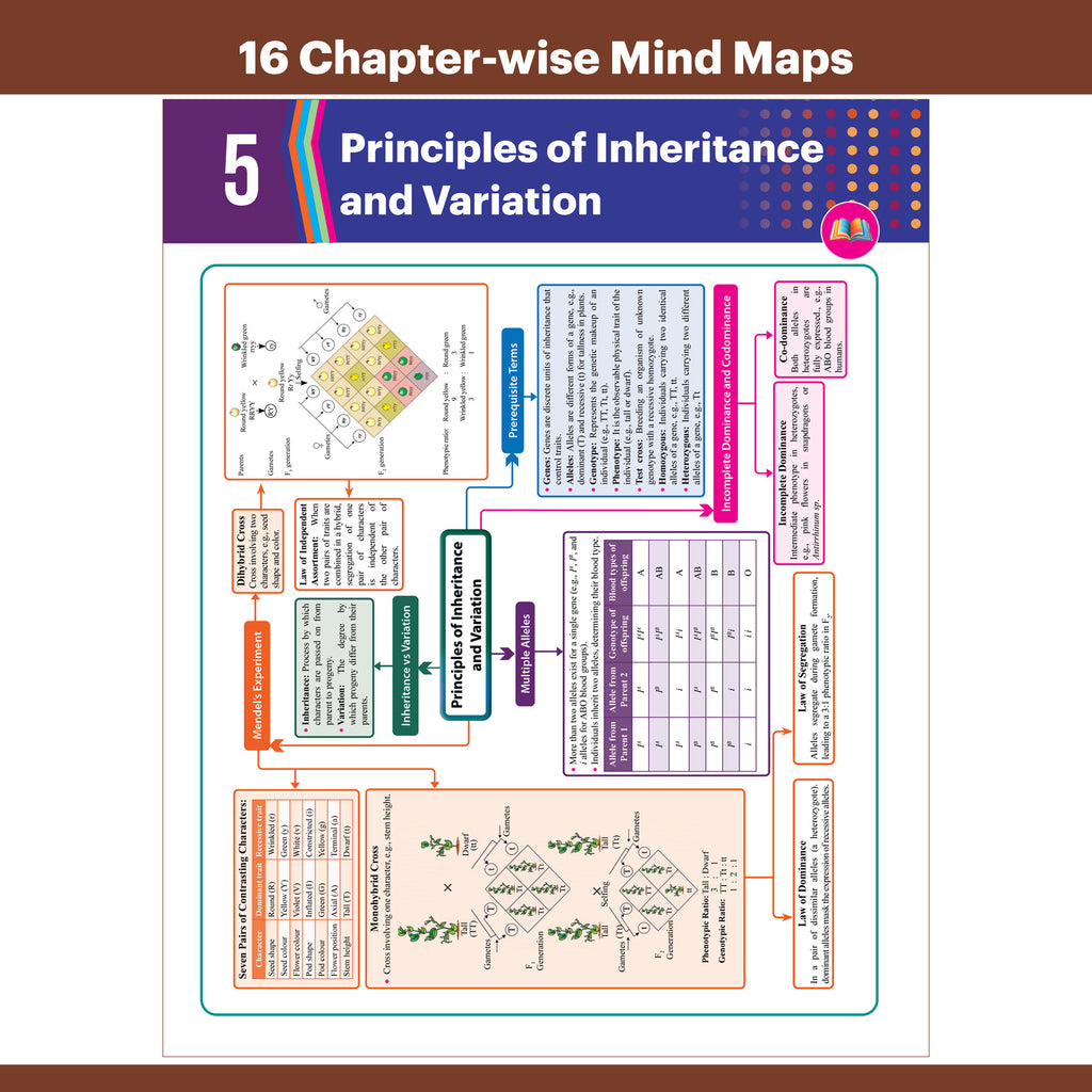 Bihar Board Class 12 Question Bank Biology JEET Guess Papers & Question Bank By Anurag Sir For 2026-27 Exam | Chapterwise Mind Maps & Previous 10 Years Questions, Model Papers with OMR