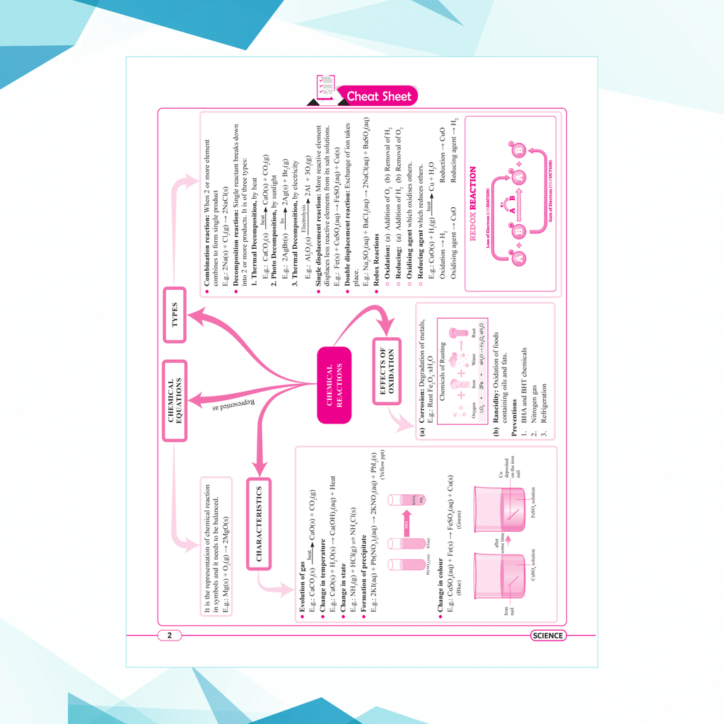 CBSE 15 Sample Question Papers Class 10 Science for 2025 Exam | Competency-Based Learning | PYQ 2024 with Topper's Explanations, CBSE SQP & CBSE Practice Questions