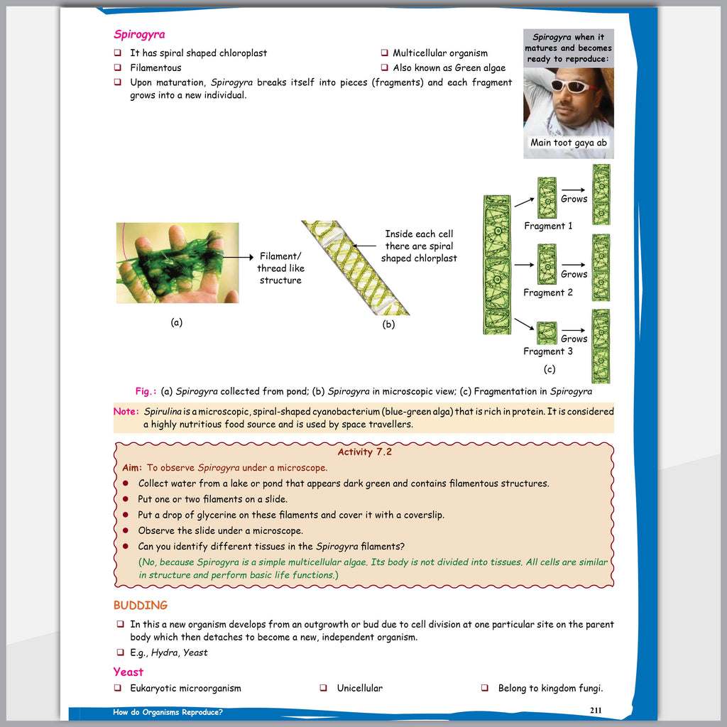CBSE Class 10 Science Handwritten Notes Format By Rakshak Sir, Samridhi Mam, Sunil Bhaiya For 2026-27 Exam | Colorful NCERT Based Notes for Quick Revision | Flowcharts, Formulas, Diagrams & Tables
