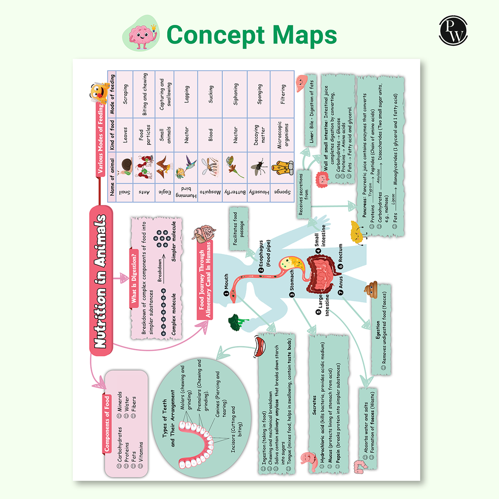 Olympiad Plus Workbook For Class 7 Science Prepguide, Concept Map, PYQs and Worksheets For After School Practice | NSO, ISO, IOS, Hindustan Olympiad, NSTSE and Others