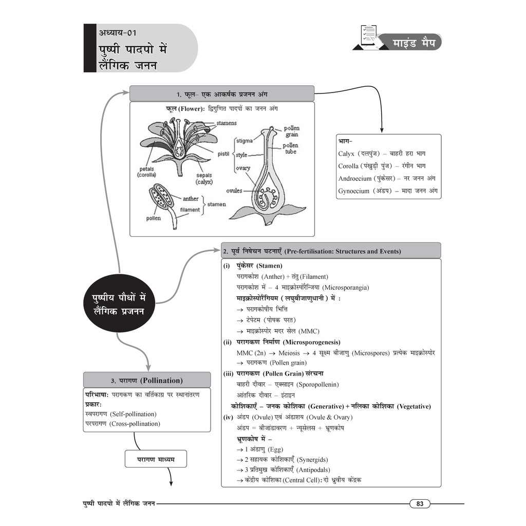 UP Board Hindi Class 12th Mind Maps