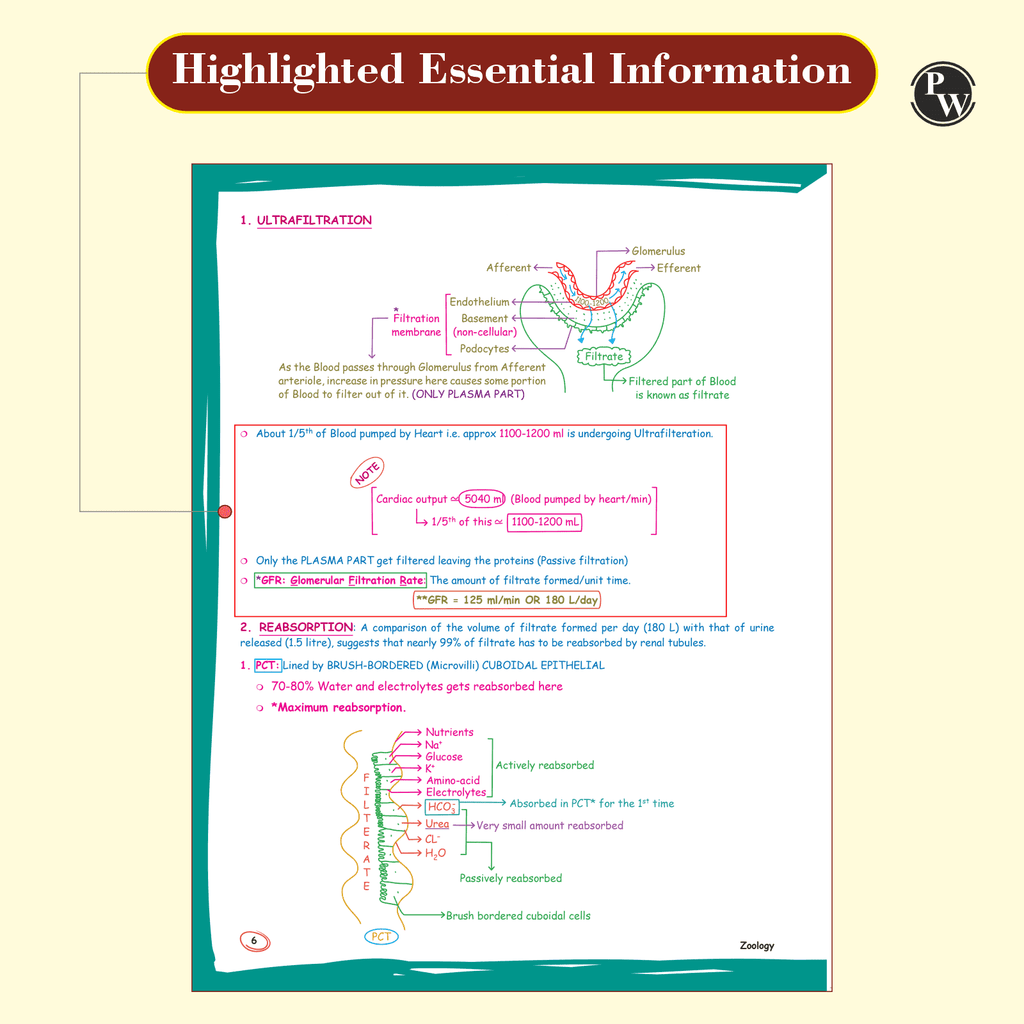 PW Med Easy Handwritten Notes Physics, Chemistry, Botany & Zoology For NEET/JEE and Board Exams 2026-27 | Flowcharts, Formulas, Tips & Tricks, Schematic Diagrams