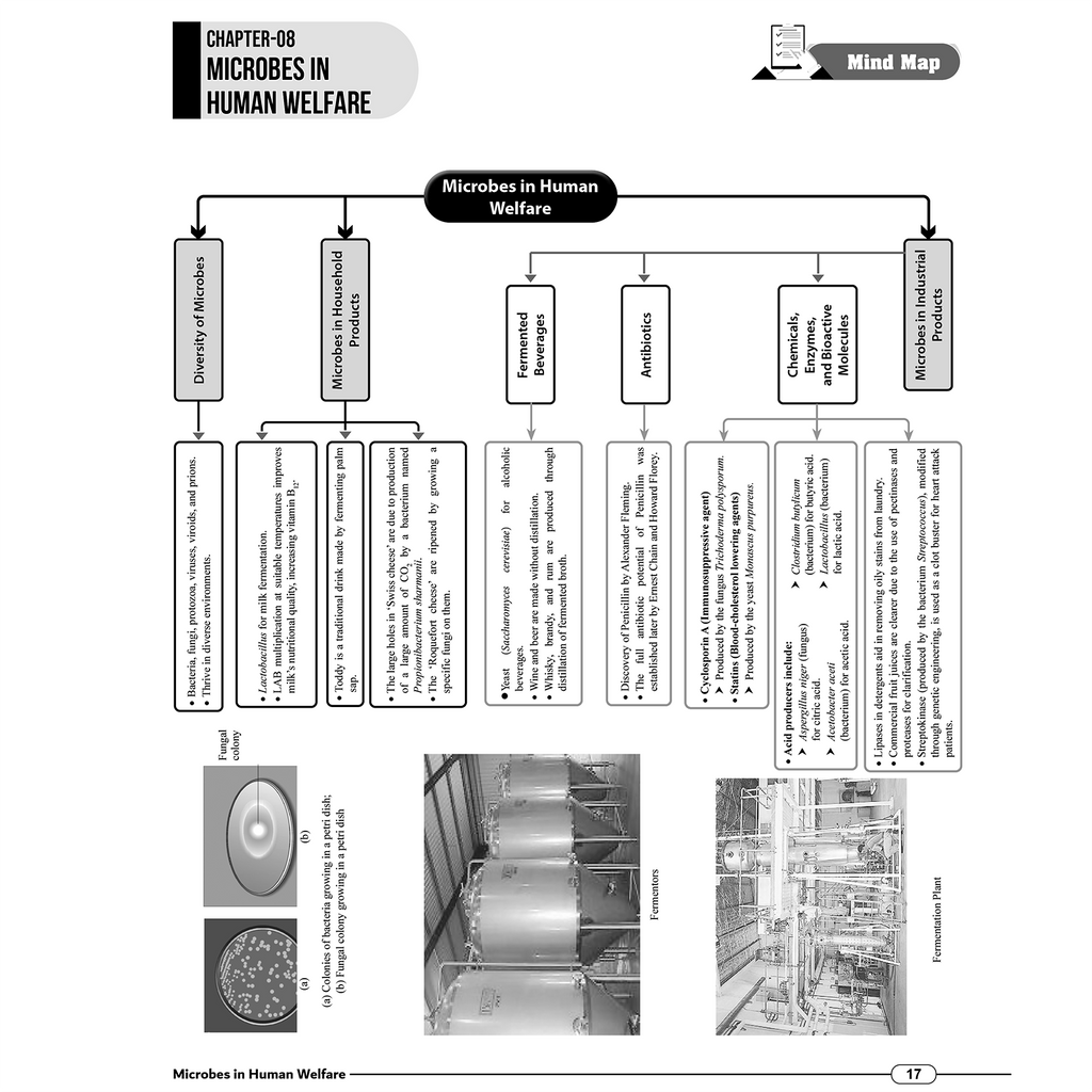 RBSE Wallah Mind Map All In One For Class 12th | Science, Mathematics & English | Last Minute Revision Notes