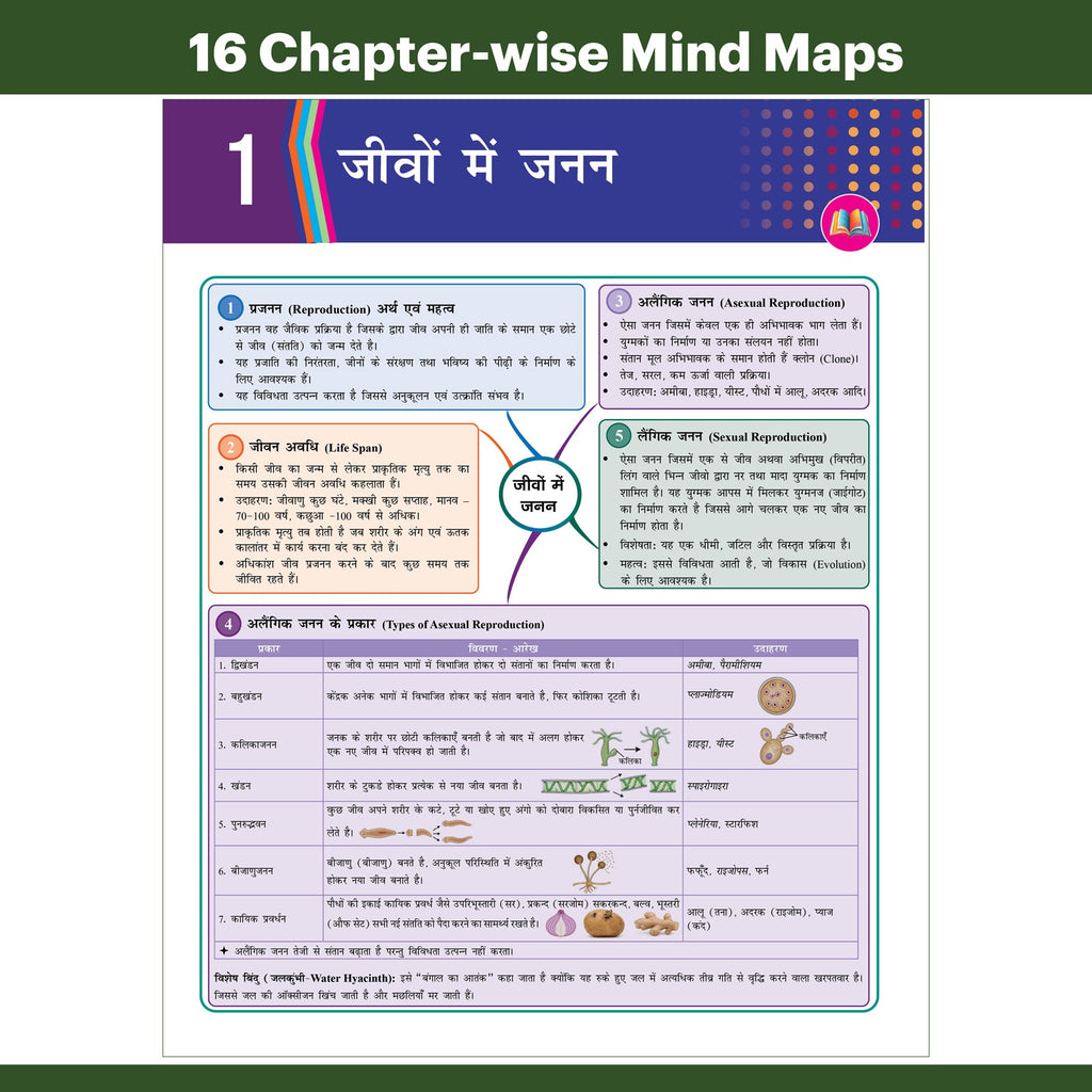 Bihar Board Class 12 Question Bank Biology (Hindi) JEET Guess Papers & Question Bank By Nidhi Pandey For 2026-27 Exam | Chapterwise Mind Maps & Previous 10 Years Questions, Model Papers with OMR
