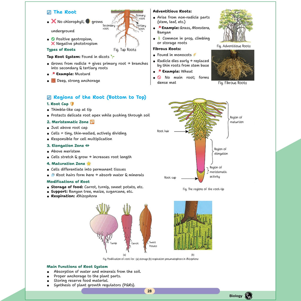 PW Biology Handbook For 2026-27 Exams | Highly Useful For NEET, CBSE Class 11-12 & Other Competitive Exams | Quick Revision Book | Important NCERT Lines