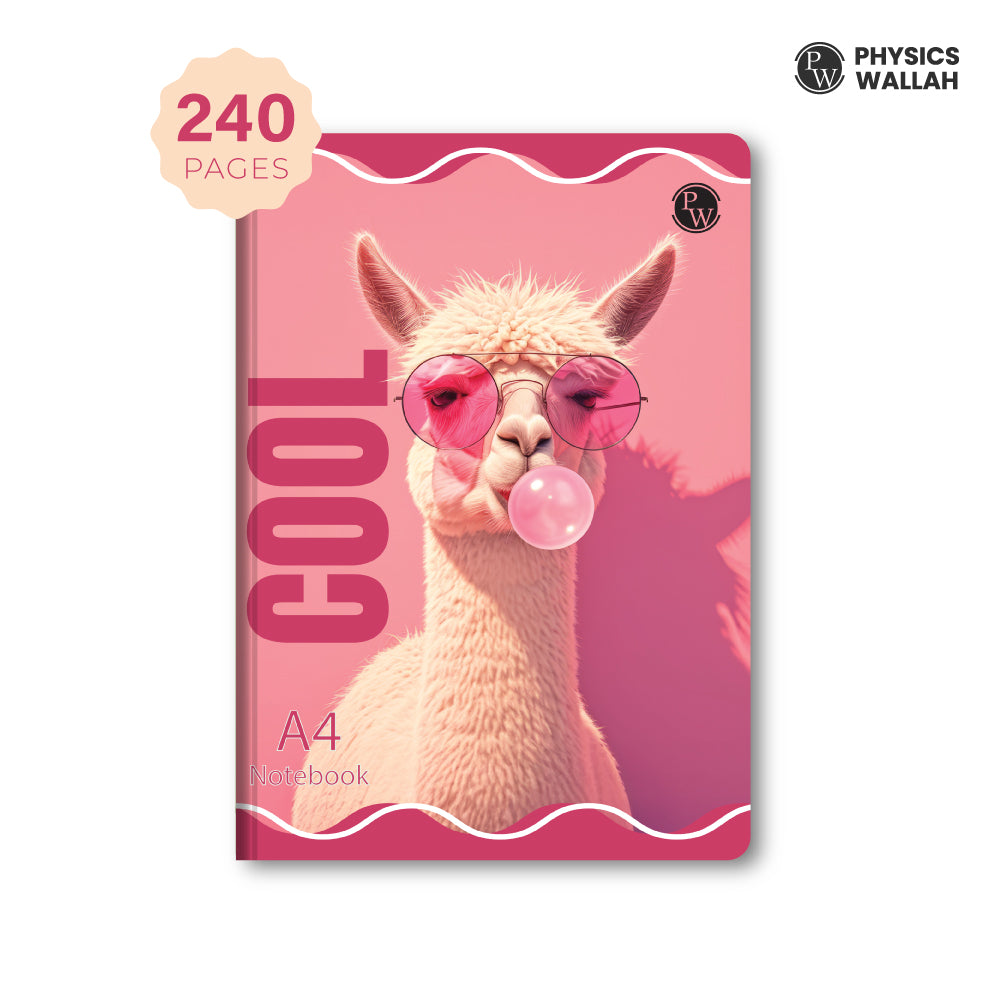 240 Pages A4 Notebook | Ruled set of 4 | Ruled Notebook for School, College & Office Use | Smooth Paper | Durable Cover