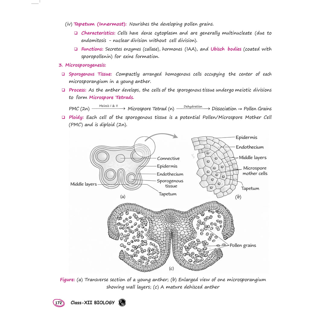 PW ISC Class 12 Chapter-Wise Toppers Short Notes For 2027 Exams | Physics, Chemistry, Biology, & Maths | Latest ISC Pattern Aligned