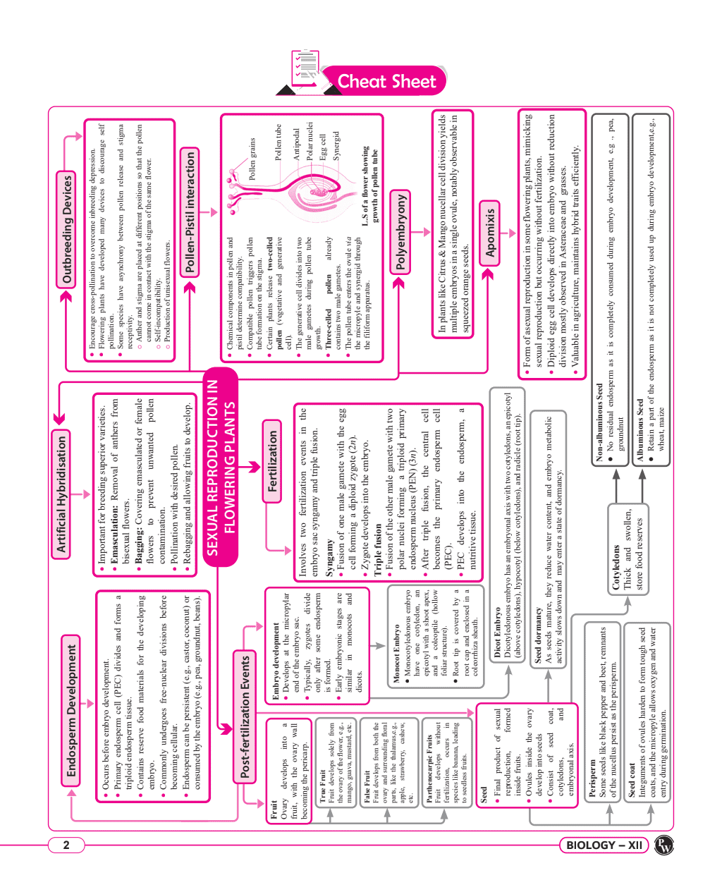 CBSE 15 Sample Question Papers Class 12 Biology for 2024 Exam (Mock Test Paper) Adhering to Competency - Based Learning | Embedded Videos and Cheat Sheet for Revision | PYQ 2023 Solved Paper