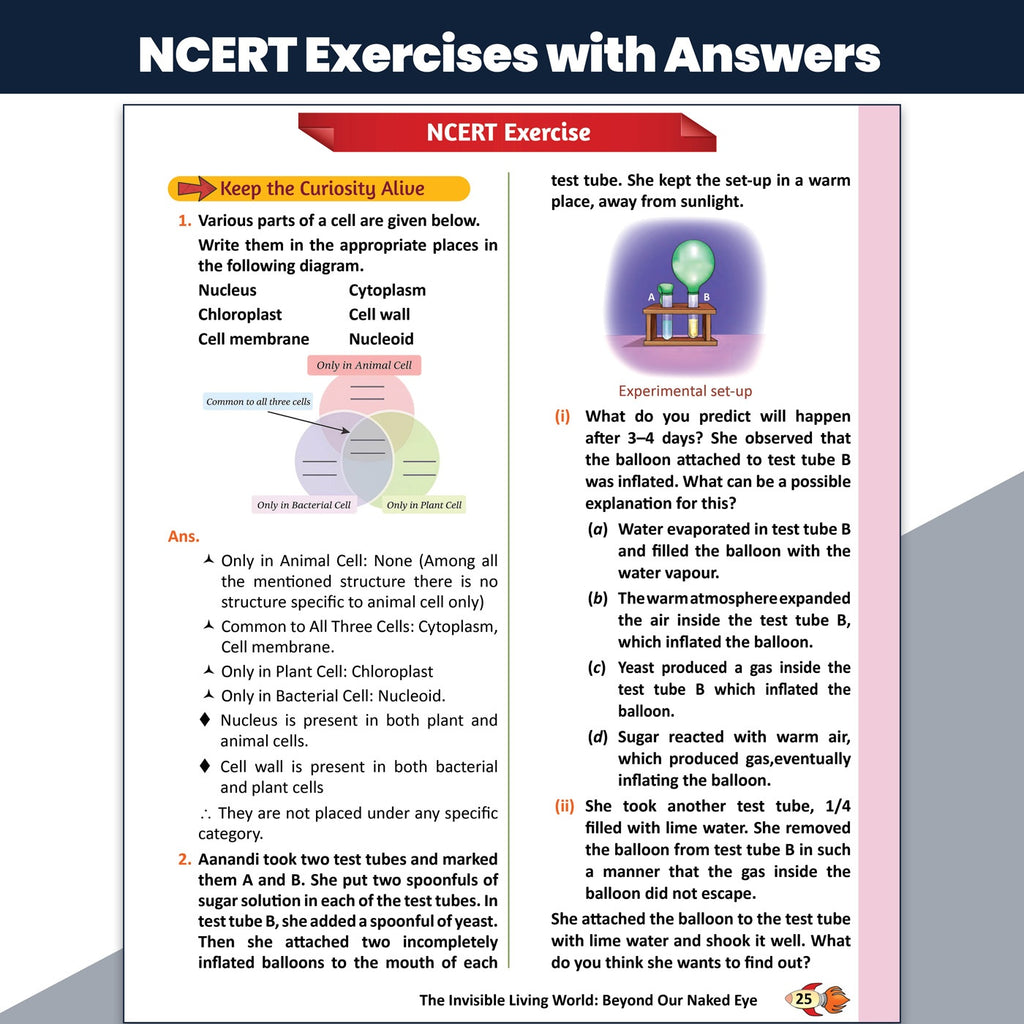 PW Concept & Question Bank Class 8 New NCERT Science (Curiosity) Book for 2026 Exams| NCERT Based Theory, Diagrams & Activities| NCERT Question Bank with Competency Based Practice Questions