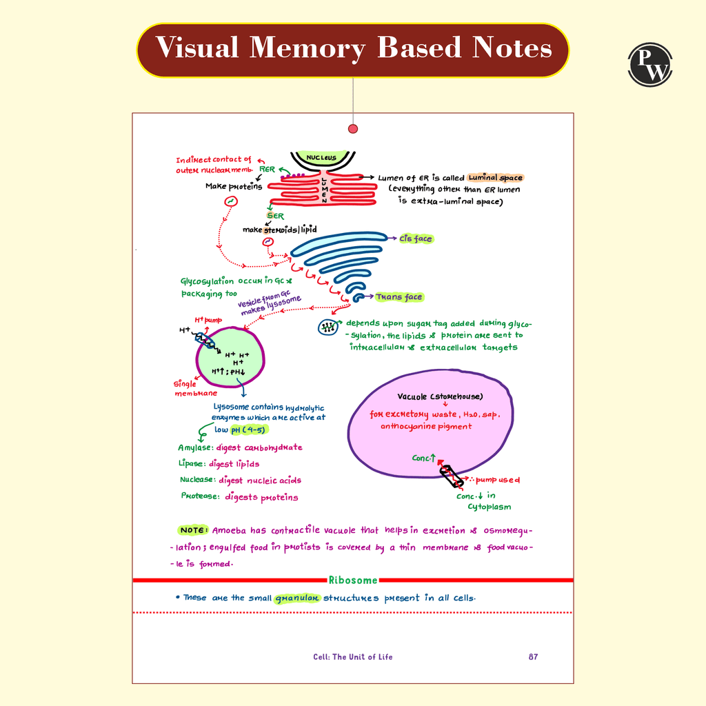 Botany Med Easy Dr. Vipin Sharma Handwritten Notes | Flow Charts, Mindmaps, Mnemonics for NEET & Board Exams as per latest NMC NEET Syllabus