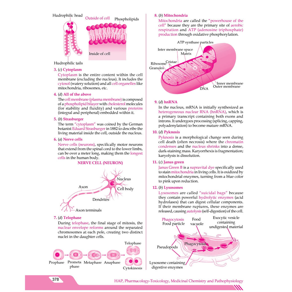 Pharmacist Pareeksha By Dr. Amit Verma | PYQs from 110 Previous Years’ Exams Papers, Subjectwise, Chapterwise & Topicwise 10,000+ MCQs With Detailed Explanations