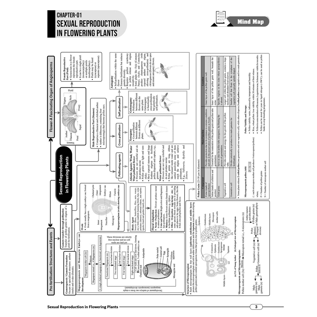 JKBose Class 12 Mind Map For 2027 Exams | Physics, Chemistry, Biology, English, Mathematics | Full Syllabus Coverage | Flowchart, Formulas & Diagram For Last Minute Revision