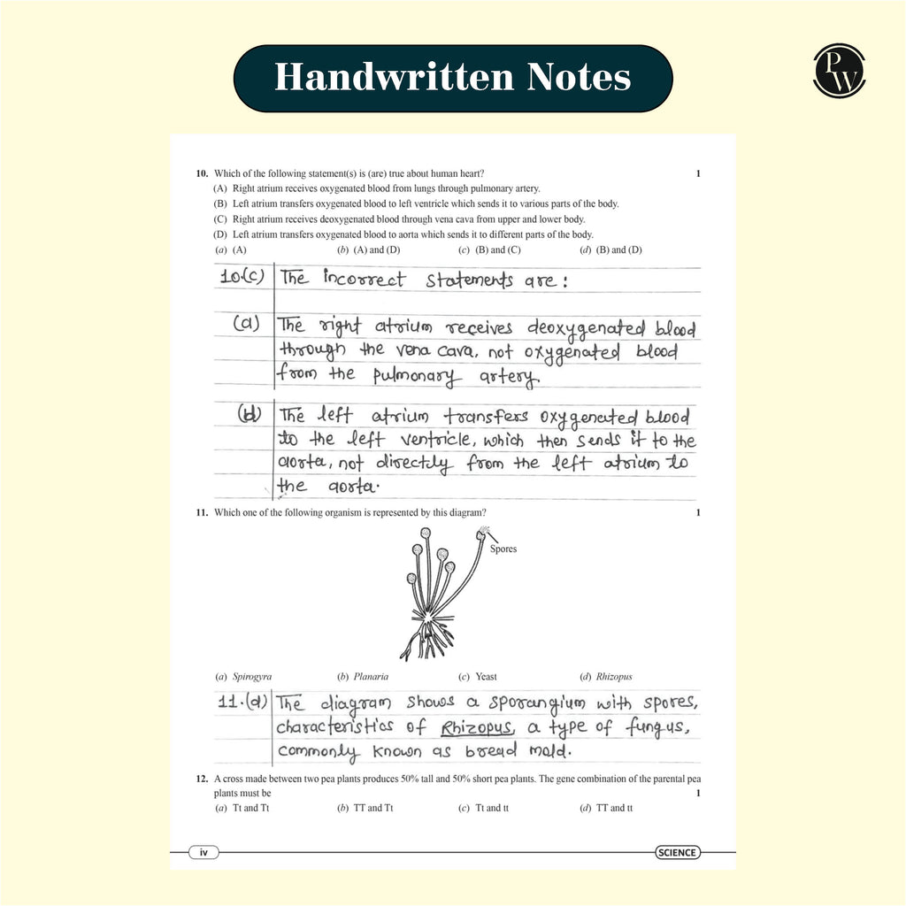 CBSE 15 Sample Question Papers Class 10 Science, Maths (Standard) and English Combo Set of 3 Books For 2025 Exam