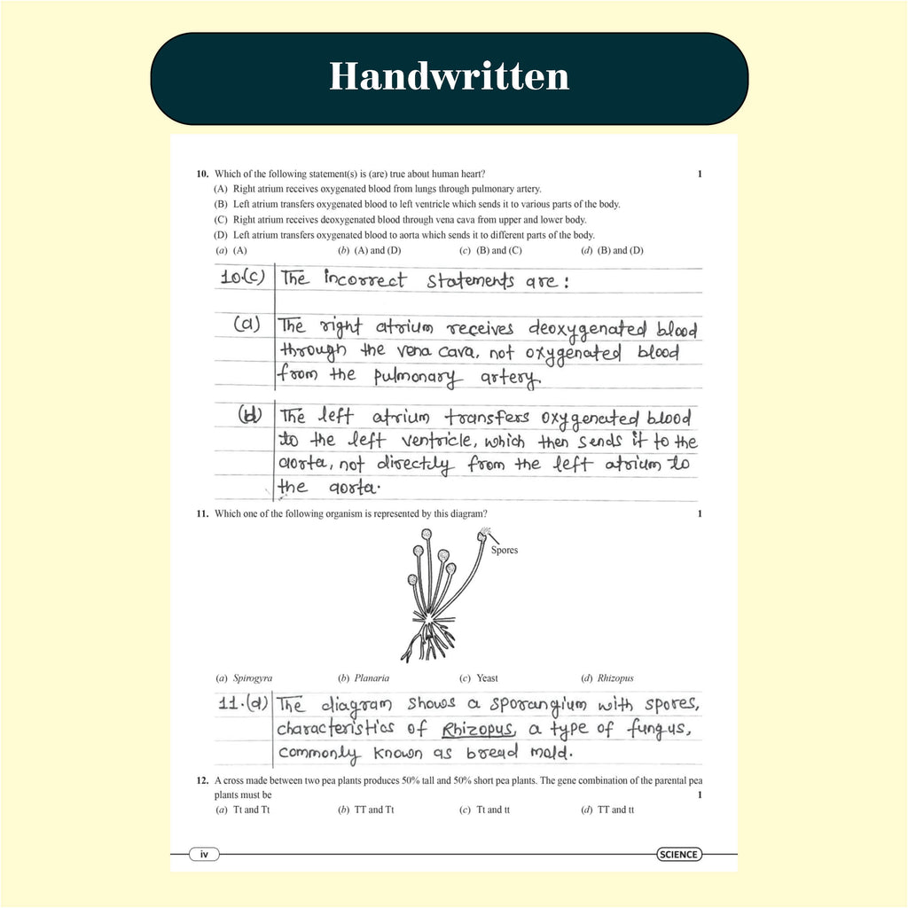 CBSE 15 Sample Question Papers Class 10 Science, Mathematics (Standard), English and Social Science Combo Set of 4 Books For 2025 Exam | 100 Most Probable Questions