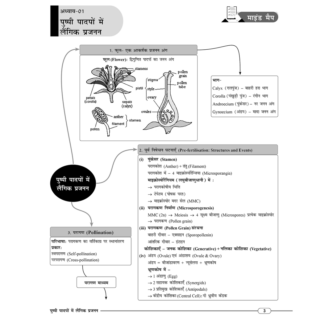 MP Board Mind Map Class 12th (Hindi Medium) | Science, Mathematics & English | Last Minute Revision Notes