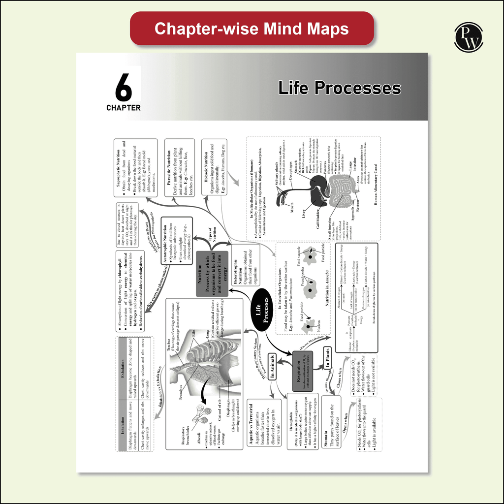 CBSE Class 10 NCERT Exemplar Problems Mathematics and Science with Text & Video Solutions | Chapterwise Mind Maps | PYQ Tagging | Rationalised NCERT Syllabus