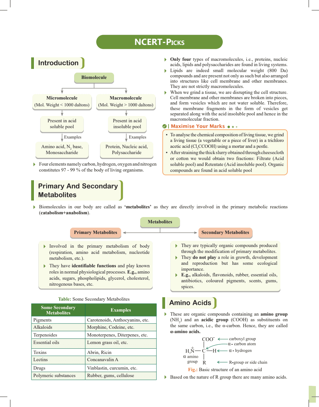 Objective NCERT Punch Biology For NEET 2025 by Dr. Vipin Kumar Sharma Sir l Updated with New Topics and Rationalised As per NMC NEET Syllabus with NEET 2024 Solved Paper
