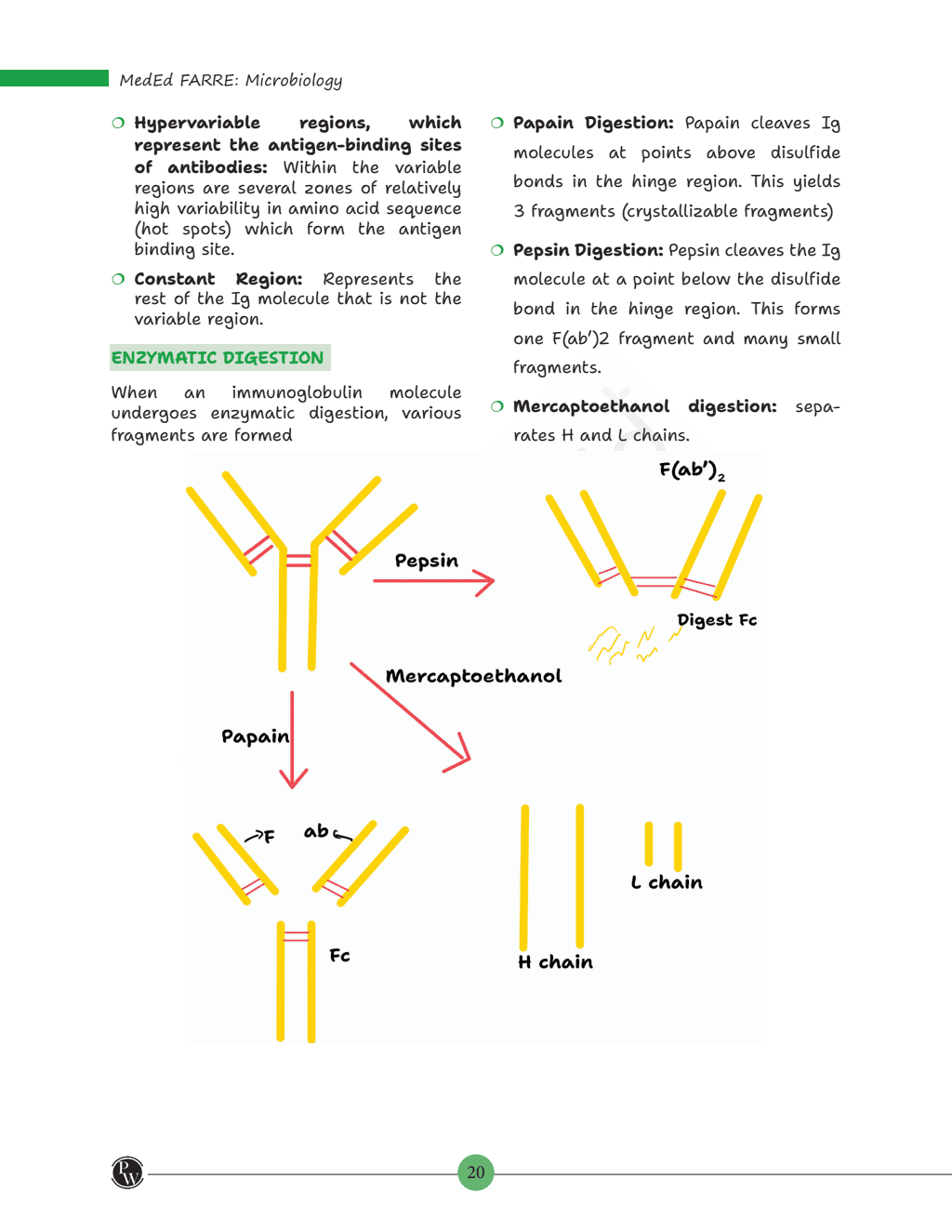 MedEd FARRE for Second MBBS Professional University Exam | Microbiology, Pharmacology, Pathology