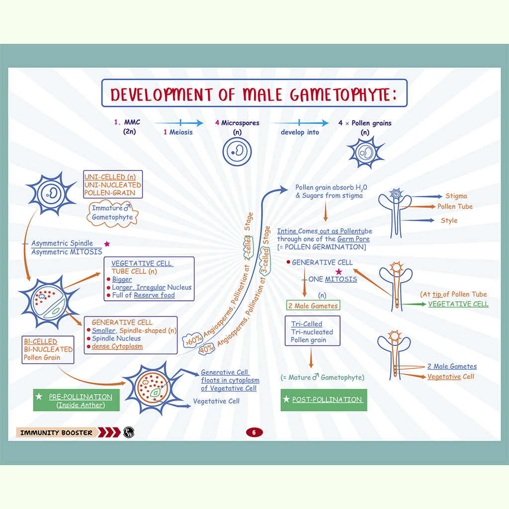 NEET Biology Immunity Booster Class 12 By Dr. Akanksha Agarwal (Gurumaa) For 2026 Exam | Handwritten Notes | NCERT Based Concepts, PYQs, Tips, Tricks, Flowcharts, Mind Maps & Quick Revision