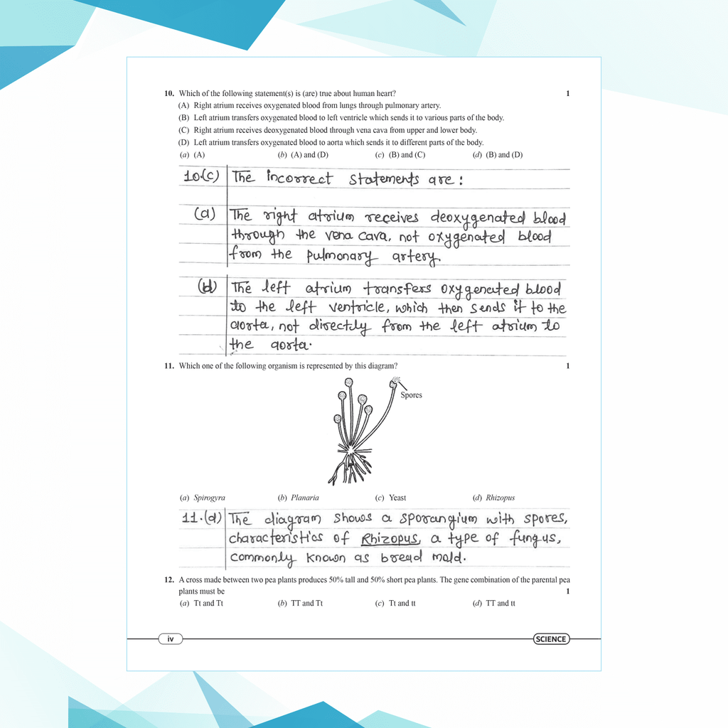 CBSE 15 Sample Question Papers Class 10 Science for 2025 Exam | Competency-Based Learning | PYQ 2024 with Topper's Explanations, CBSE SQP & CBSE Practice Questions
