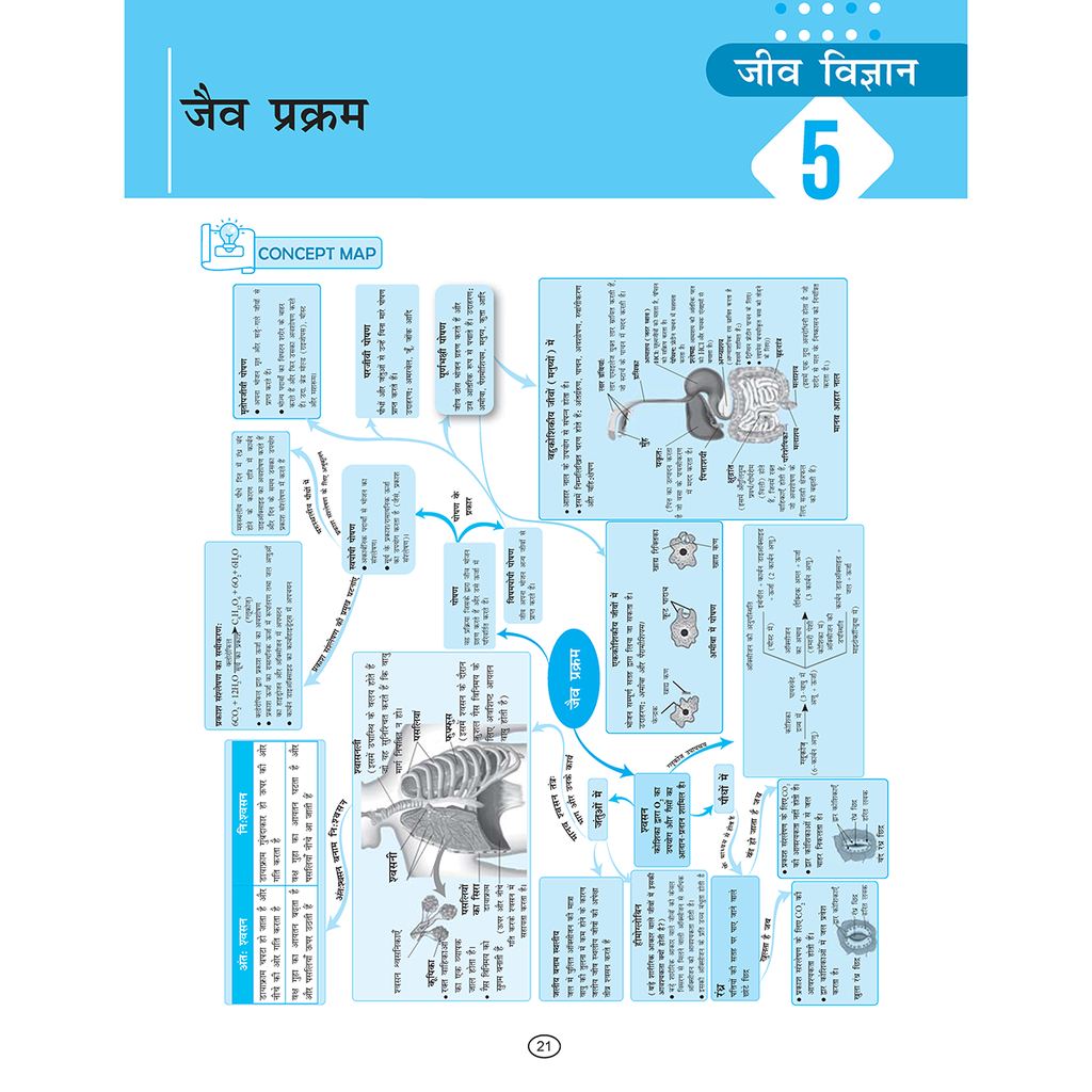 UP Board English Class 10th Mind Maps