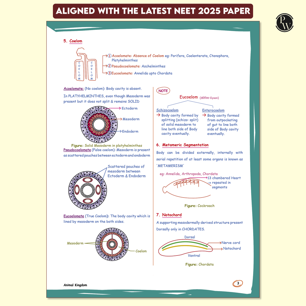 Zoology Med Easy 2.0 For NEET and Board Exams 2025-26 | Flowcharts, Schematic Diagrams l Samapti Sinha Mahapatra Handwritten Notes!