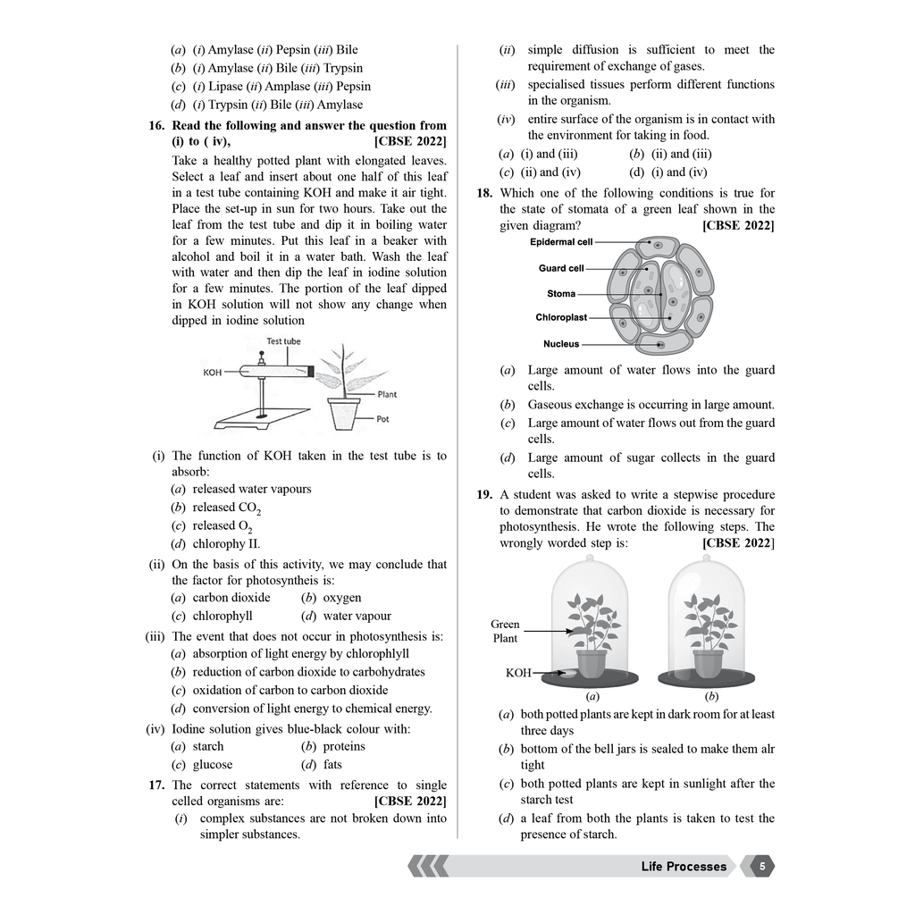 CBSE Class 10 Last 5 Years' (2020 - 2024) Chapterwise Solved Papers For 2026 Exams | Science, Mathematics, English, Social Science