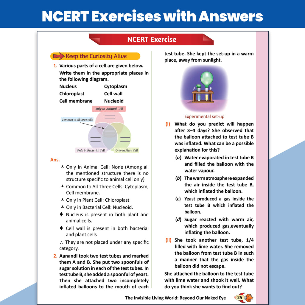 PW Class 8 New NCERT Concept & Question Bank Science Curiosity, English Poorvi, Maths Ganita Prakash I & II, Social Science Exploring Society: India & Beyond Part 1 Combo of 4 Books For 2026 Exams