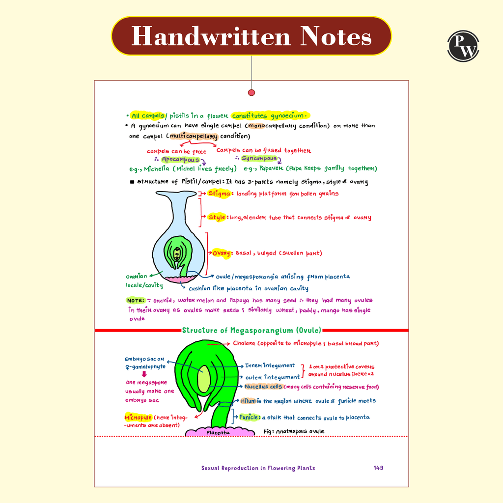 Digital-Book + Botany Med Easy Dr. Vipin Sharma Handwritten Notes | Flow Charts, Mindmaps, Mnemonics for NEET & Board Exams as per latest NMC NEET Syllabus