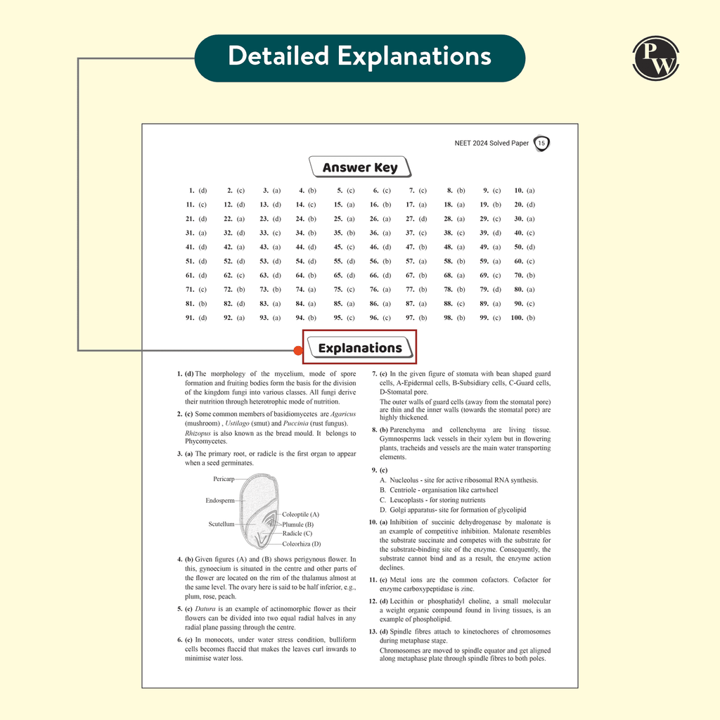 37 Years NEET Previous Year Solved Question Papers Physics, Chemistry and Biology Combo Set of 3 Books PYQs Chapterwise Topicwise Solutions For NEET Exam 2025 with Newly Added Topics
