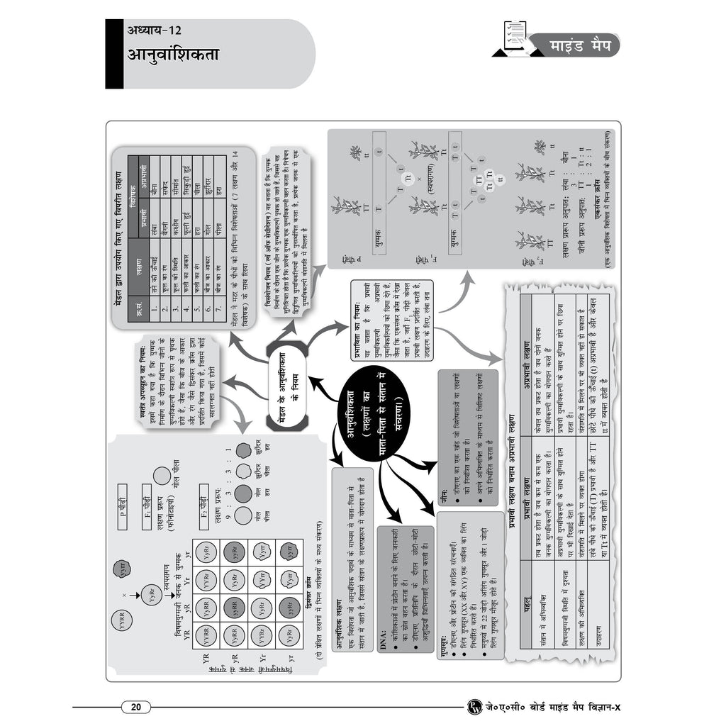 PW JAC Board Class 10 Mind Map (Hindi Medium) | Based on Latest JAC Board Syllabus | Physics, Chemistry, Maths & Biology | Smart Revision for Maximum Marks