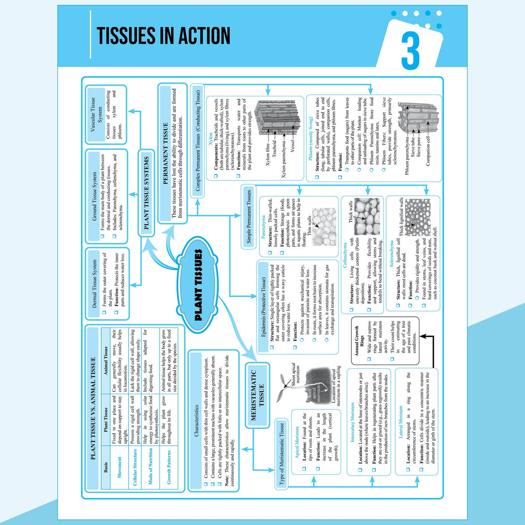 PW New NCERT Class 9 Science Exploration Textbook Solutions with Mind Maps 2026-27 | Revision Book, Solved NCERT Intext Solutions and End Exercises