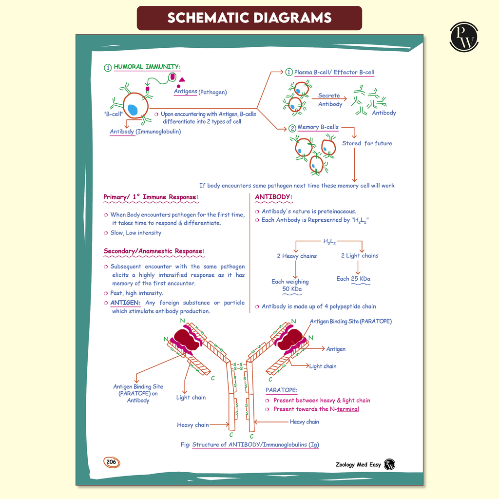Zoology Med Easy 2.0 For NEET and Board Exams 2025-26 | Flowcharts, Schematic Diagrams l Samapti Sinha Mahapatra Handwritten Notes!