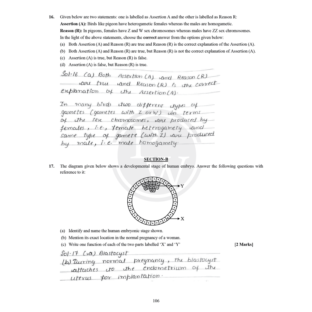 CBSE Class 12 Topper’s Answer Sheet (2023 and 2024 Papers) For 2026 Exams | Covering Physics, Chemistry, Biology and Mathematics