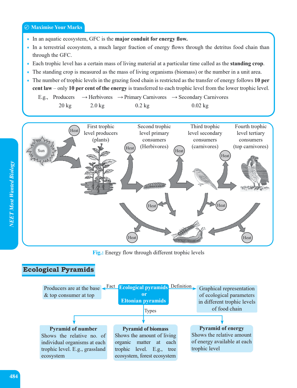 45 Days NEET Most Wanted Biology, Physics, Chemistry, Combo for NEET UG 2025 Chapter wise Revision Based on 80-20 rule with Sample Papers and Handpicked Past Year Questions