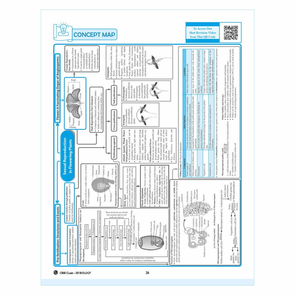 CBSE Question & Concept Bank (QCB) Class 12 Biology 2024 - 2025 Chapter-wise and Topic-wise Solved Questions