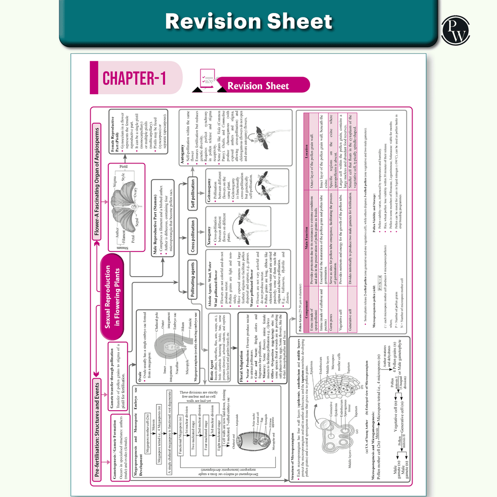 CUET (UG) Physics, Chemistry, Biology Combo Set of 3 Books Chapterwise & Topicwise Question Bank For 2026 Exam | Theory, Exercise, PYQ (2025-2022) & Mock Tests