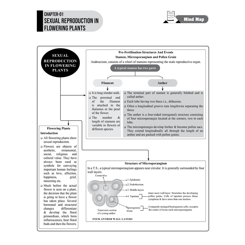 JKBose Class 12 End Game Revision & Quick Practice Book for 2027 Exams | Botany, Physics, Zoology, Chemistry, Mathematics | Board Strategy, Chapterwise Mind Maps, PYQs, Most Important Questions