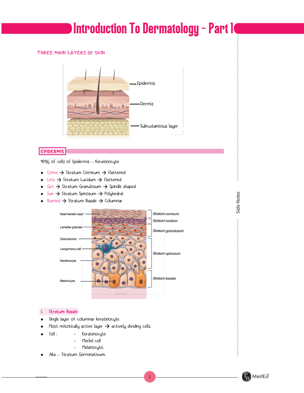 MedEd MBBS 4th Prof Year Minor Notes | Anaesthesia, Dermatology, Psychiatry, Orthopaedics, Radiology Notes