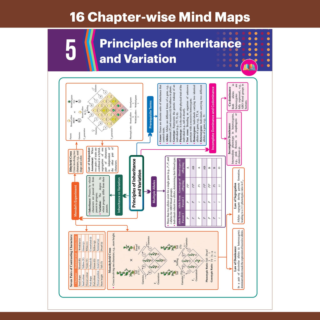 Bihar Board Class 12 Question Bank Biology JEET Guess Papers & Question Bank By Anurag Sir For 2026-27 Exam | Chapterwise Mind Maps & Previous 10 Years Questions, Model Papers with OMR