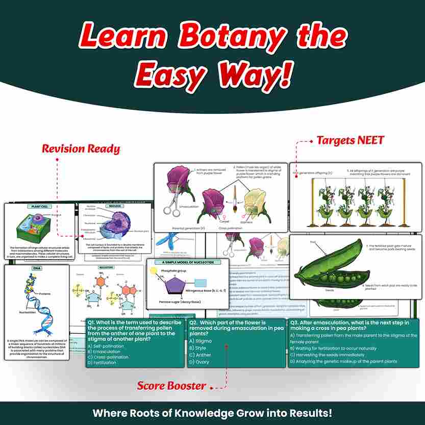 NEET BioLens Biology Through Images For 2024-25 Exams l Interactive 3D Models, Visual Representation, Practice Questions
