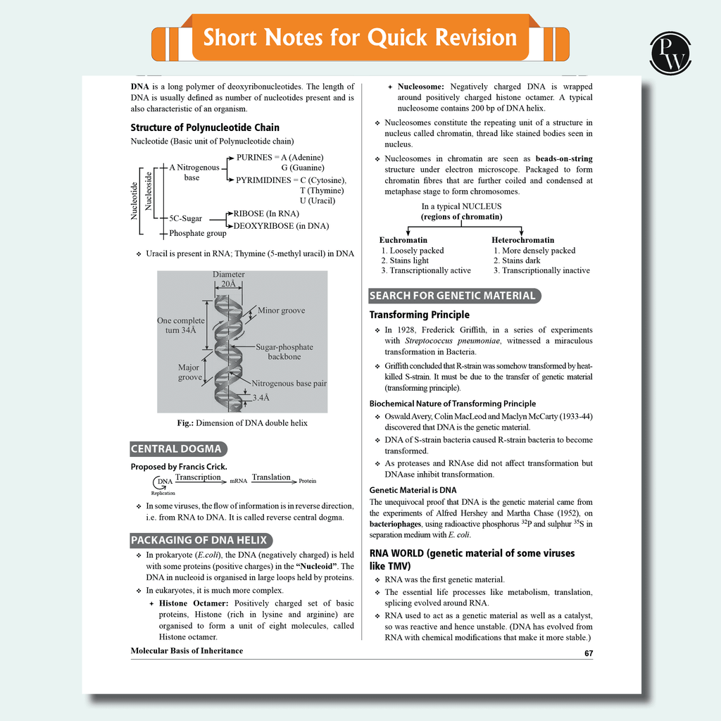 Arjuna 11 NEET Modules 2025