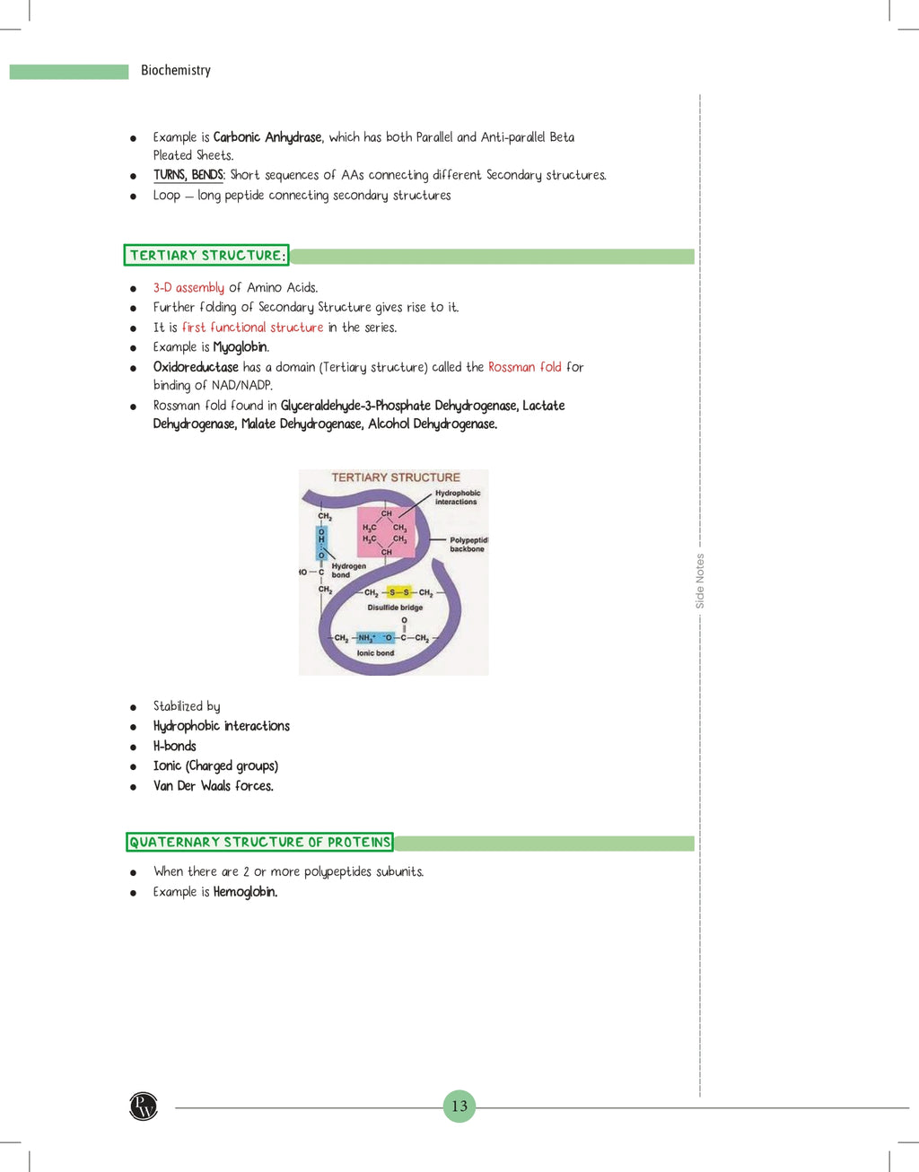 MedEd MBBS 1st Prof Year Notes | Anatomy, Biochemistry, Physiology Combo Set of 3