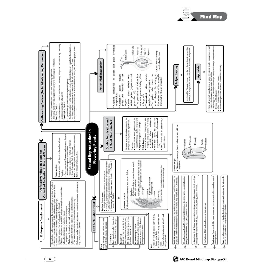 PW JAC Board Class 12 Mind Map | Based on Latest JAC Board Syllabus | Physics, Chemistry, Maths & Biology | Smart Revision for Maximum Marks
