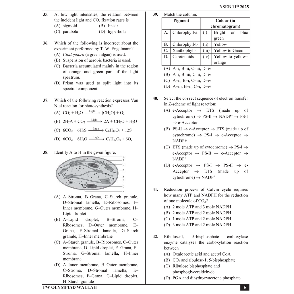 Olympiad Wallah NSEB Class 11 Advanced Biology (Part 2) For Biology Olympiad 2025 | Practice Questions, PYQ, Detailed Solutions | Ideal For INBO & IBO