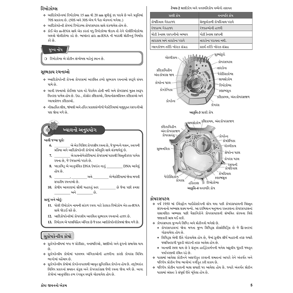 Yakeen for NEET (Gujarati) Droppers Zoology updated Edition Combo Set of 4 Books
